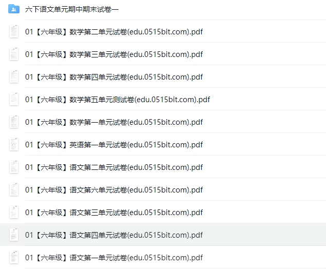 盐城名校小学六年级单元试卷（下册）