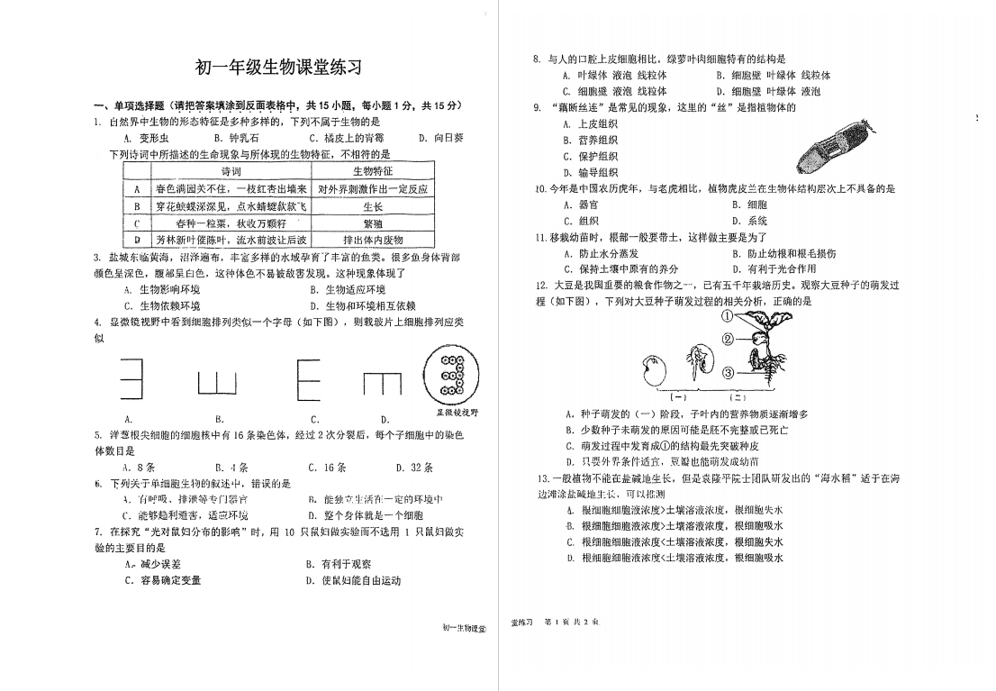盐城名校|盐中|盐外|东台|射外|盐都|初一上学期月考（12月）试卷合集